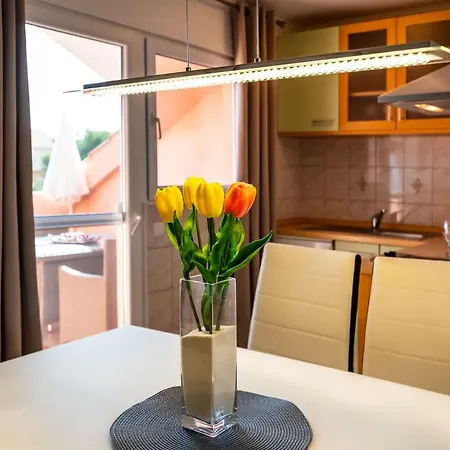 Apartman Sanja *