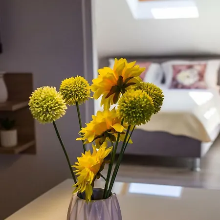 Apartman Sanja شقة *