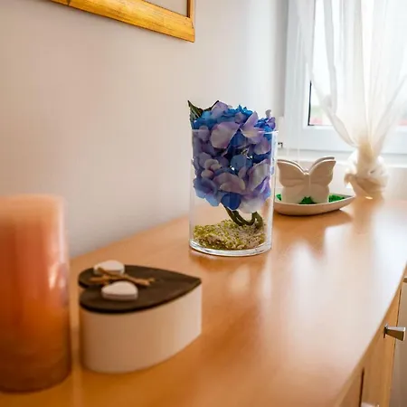 Apartman Sanja